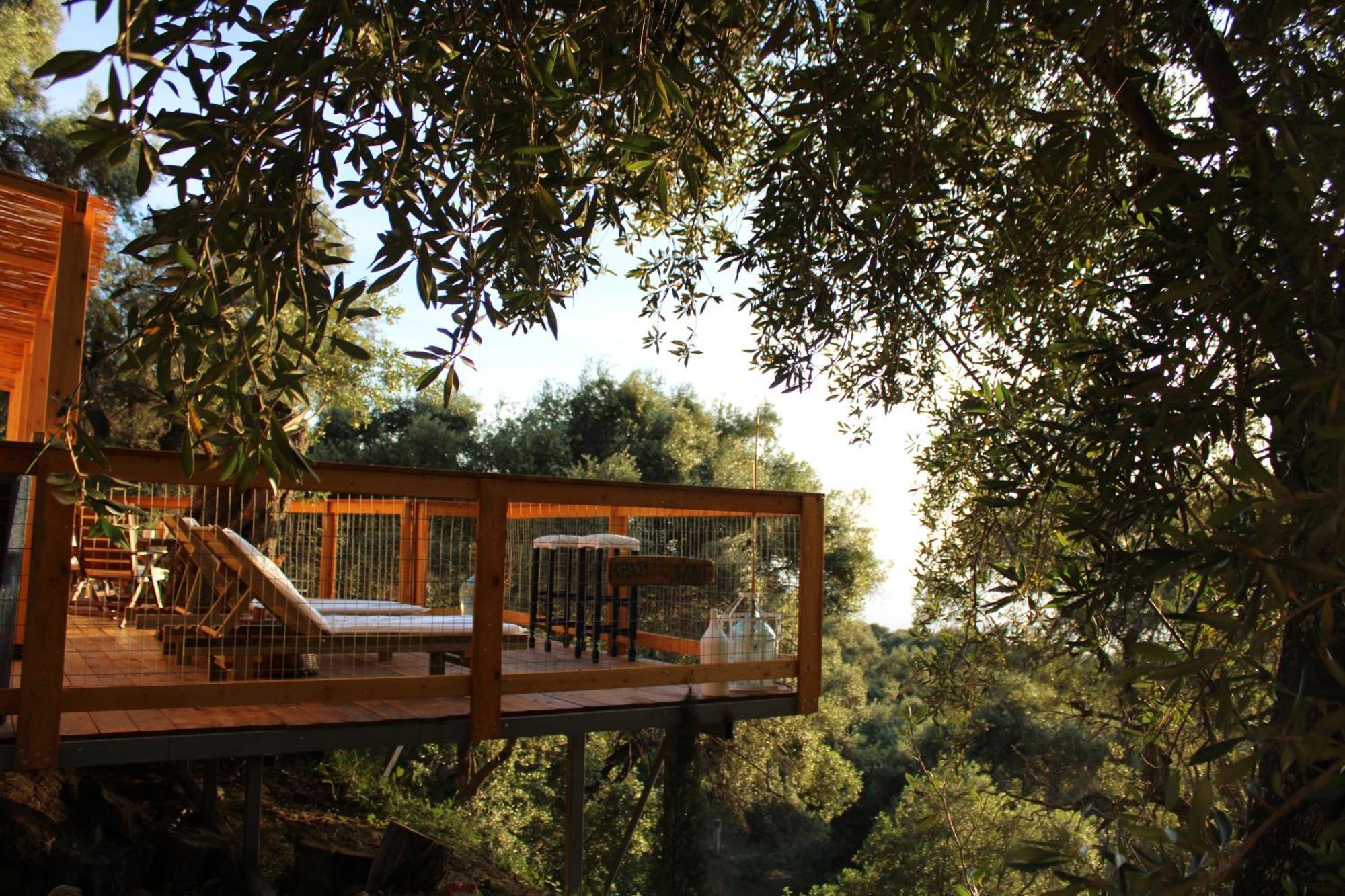 Nature Habitat Pentati